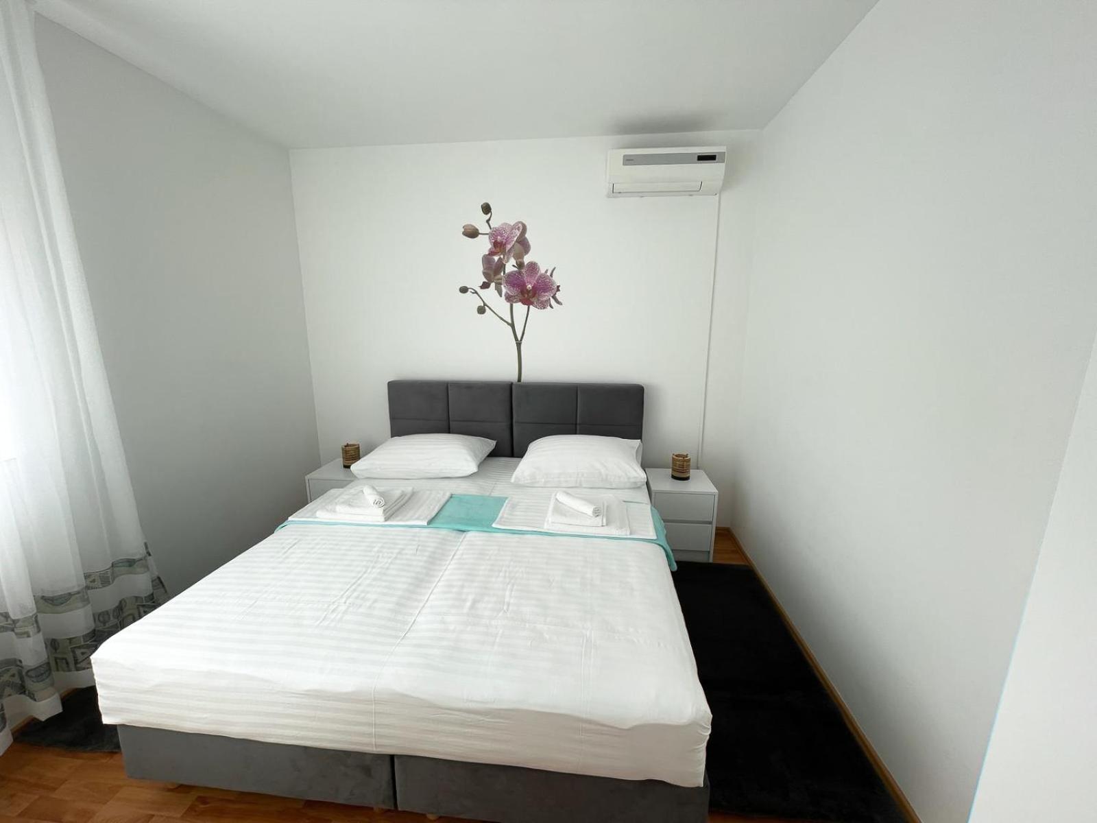 Apartmani Tatjana 诺瓦利娅 外观 照片